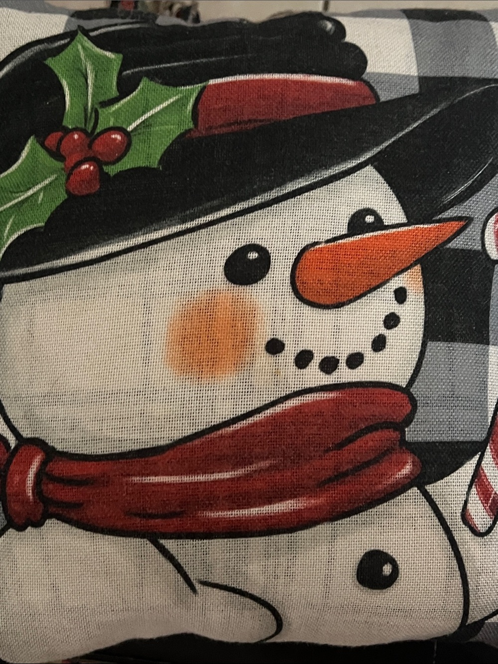 Holiday Snowman Decorative Pillow Cover - Red Scarf